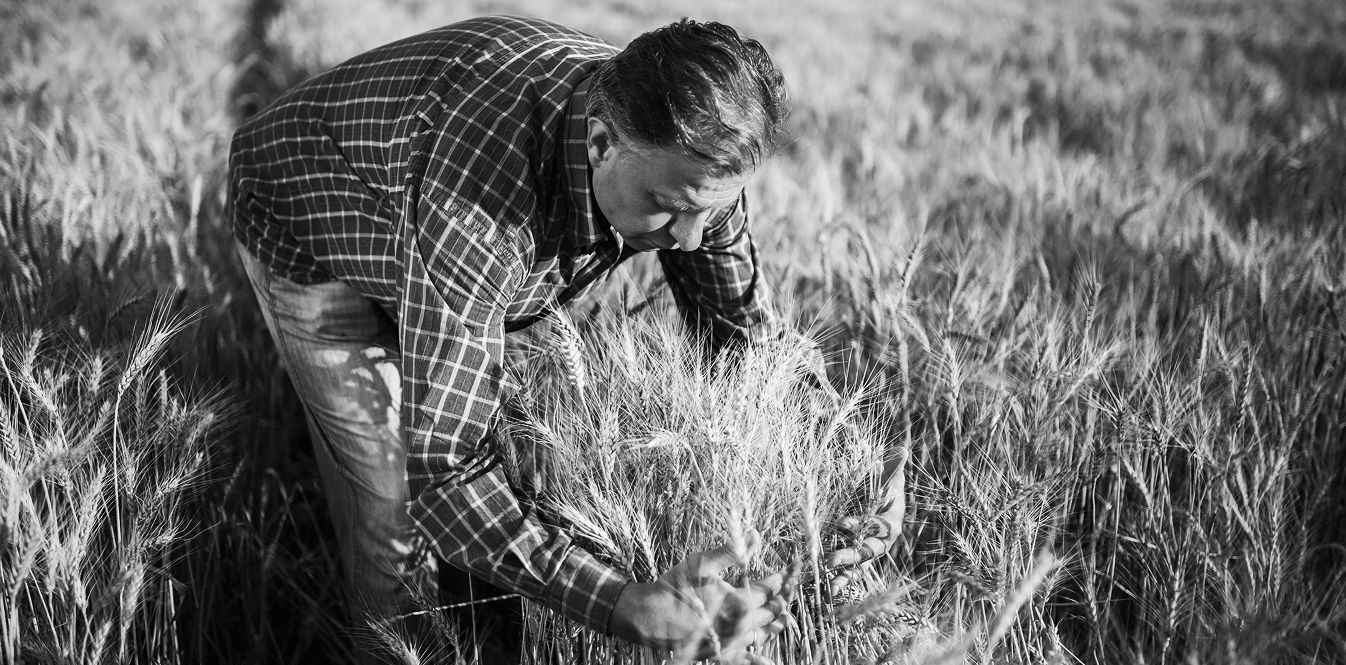 Aizdevums uzņēmumiem sezonas izmaksām un stabilai naudas plūsmai lauksaimniecībā